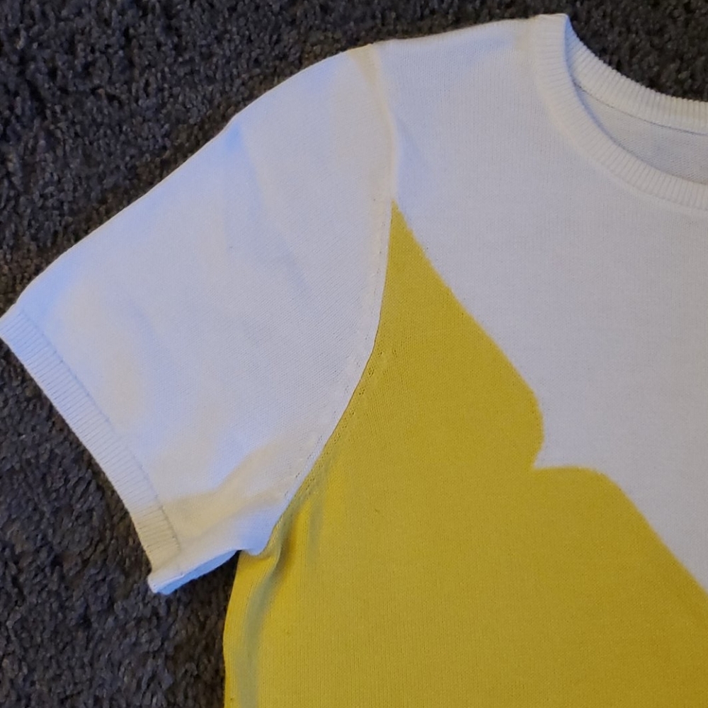 Hunter for Target Color Block Sweater - Picture 2 of 5